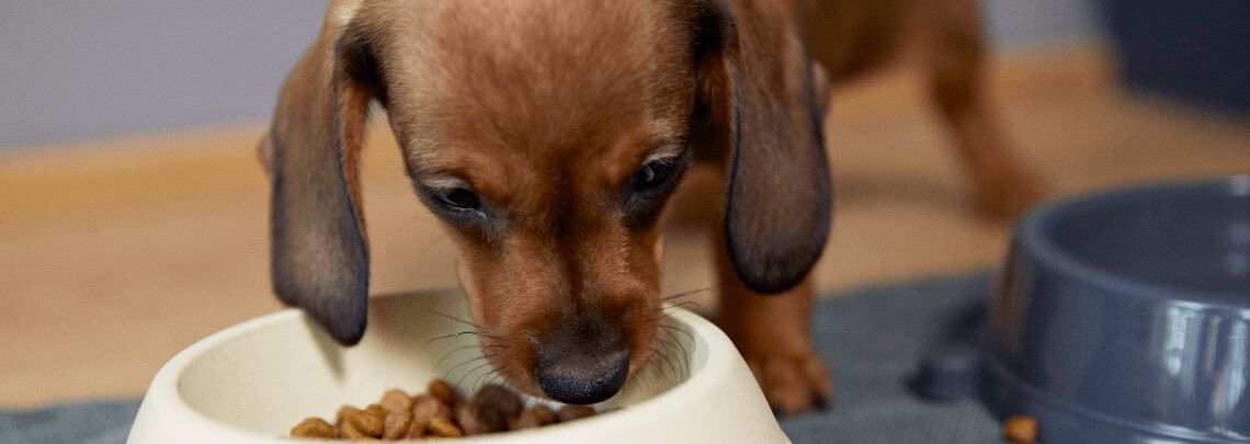 [paste advice page name here]